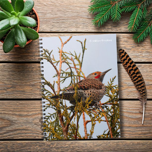 Male Red-Shafted Northern Flicker in a Tree Notebook