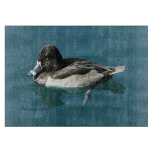 Male Ring-necked Duck Sits on Blue Water Photo Cutting Board