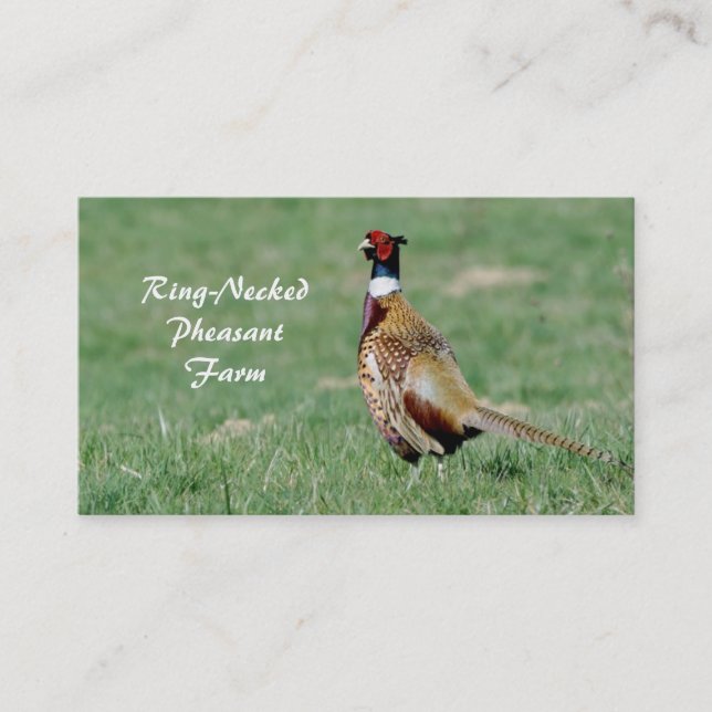 Male ring necked pheasant business card (Front)