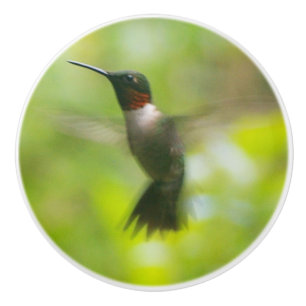 Male Ruby Throat Hummingbird Ceramic Knob