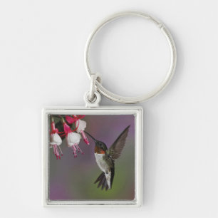 Male Ruby throated Hummingbird, Archilochus Keychain