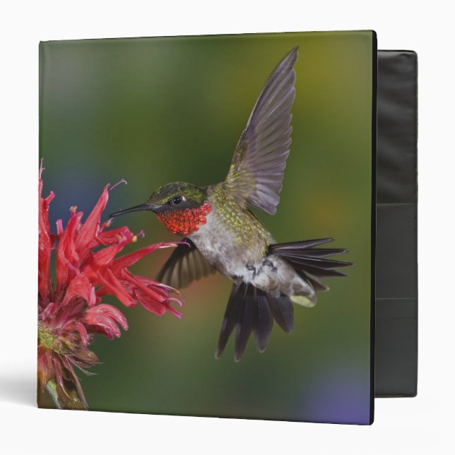 Male Ruby-throated Hummingbird Binder (Front/Inside)