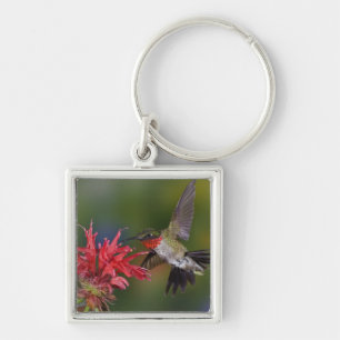 Male Ruby-throated Hummingbird Keychain