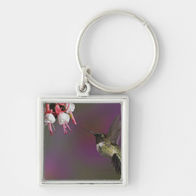 Male Ruby throated Hummingbird Keychain (Front)