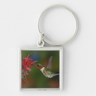 Male Ruby-throated Hummingbird Keychain