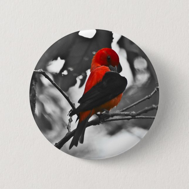 Male Scarlet Tanager 2 Inch Round Button (Front)