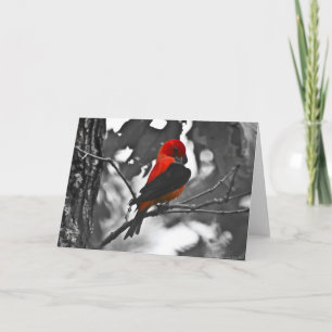 Male Scarlet Tanager Card