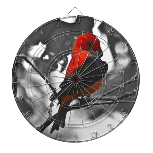 Male Scarlet Tanager Dartboard (Front)