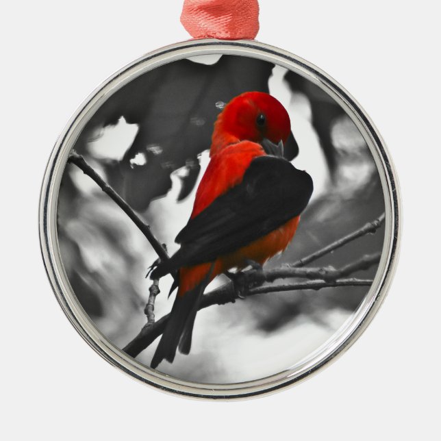 Male Scarlet Tanager Metal Ornament (Front)