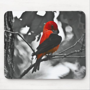 Male Scarlet Tanager Mouse Pad