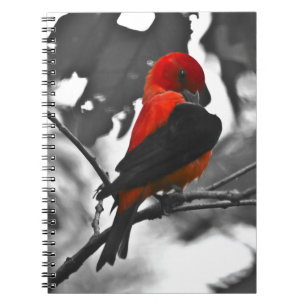 Male Scarlet Tanager Notebook
