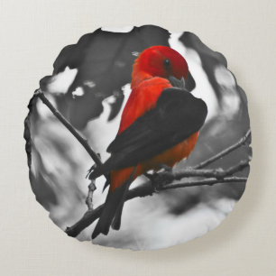 Male Scarlet Tanager Round Pillow