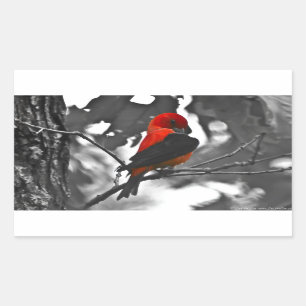 Male Scarlet Tanager Sticker