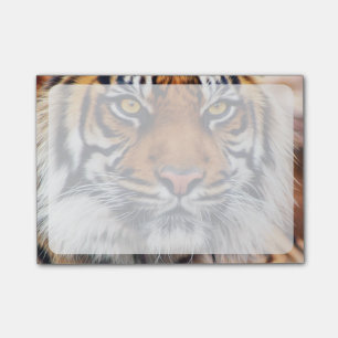 Male Siberian Tiger Paint Photograph Post-it Notes