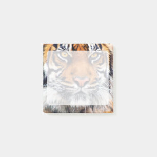 Male Siberian Tiger Photograph Post-it Notes