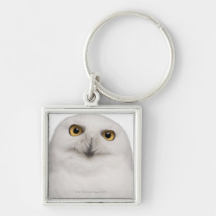 male Snowy Owl (Bubo scandiacus) is a large owl Keychain