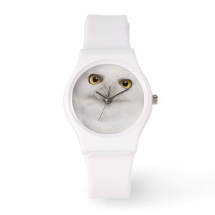 Male Snowy Owl (Bubo scandiacus) is a large owl Watch