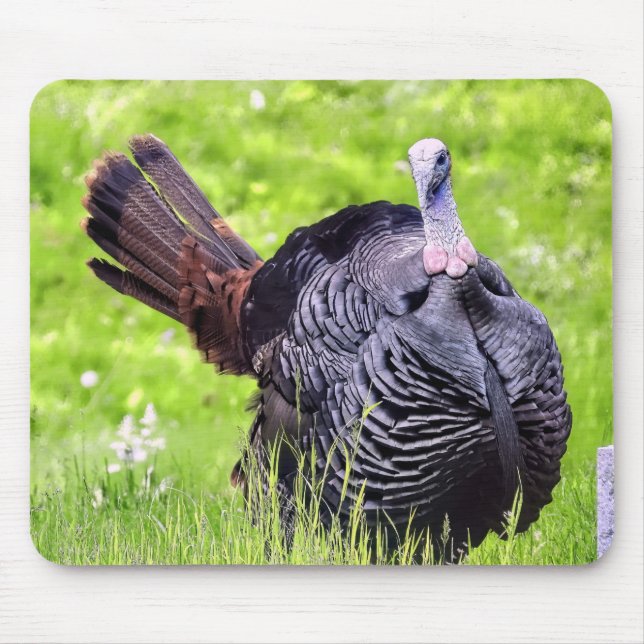 Male Turkey Close Up  Mouse Pad (Front)