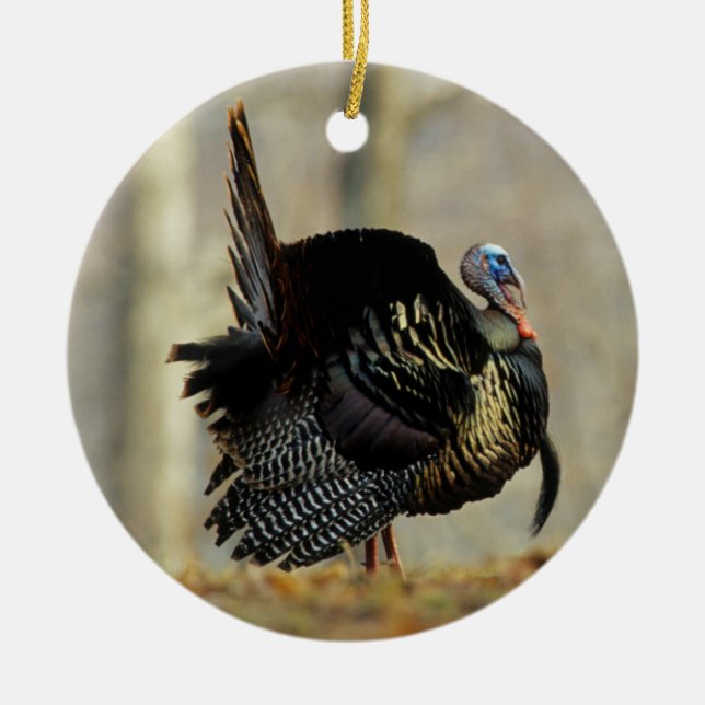 Male turkey strutting, Illinois Ceramic Ornament (Front)