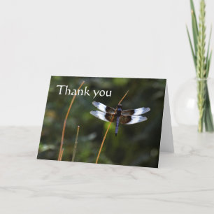 Male Widow Skimmer dragonfly  on a stick, thank yo You Card