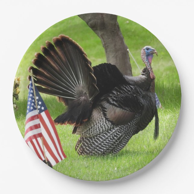  Male Wild Turkey With American Flag Paper Plate (Front)
