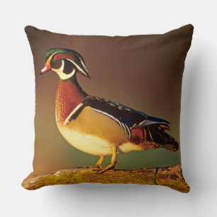 Male wood duck, Illinois Throw Pillow