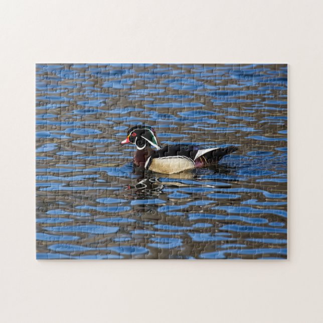 Male Wood Duck Jigsaw Puzzle (Horizontal)
