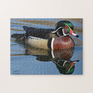 Male Wood Duck Reflection Jigsaw Puzzle
