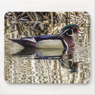 Male wood duck swimming in pond mouse pad