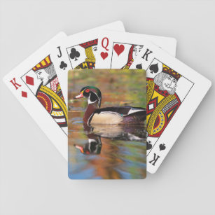 Male wood duck swims, California Playing Cards