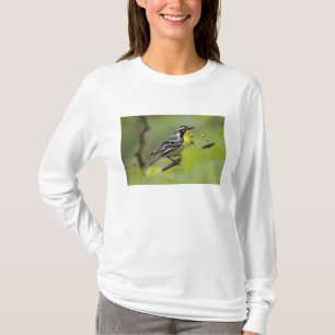 Male Yellow-throated Warbler, Dendroica T-Shirt
