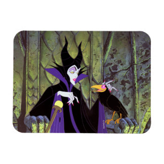 Maleficent | And Diablo Magnet