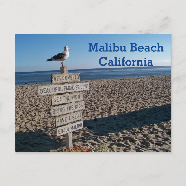 Malibu Beach Postcard- Paradise Cove Seagull Sign Postcard (Front)