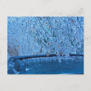 Malibu Icicles Postcard