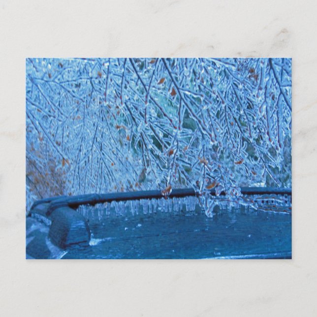 Malibu Icicles Postcard (Front)