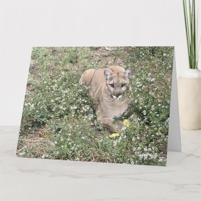 Malice Being Beautiful Card (Front)