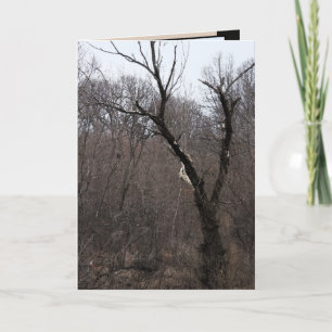 Malificent Tree Card