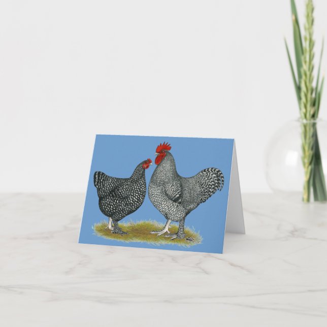 Maline Chickens Card (Front)