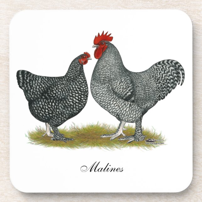 Maline Chickens Coaster (Front)