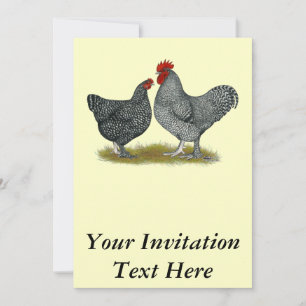 Maline Chickens Invitation