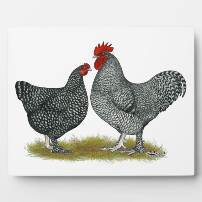 Maline Chickens Plaque (Front)