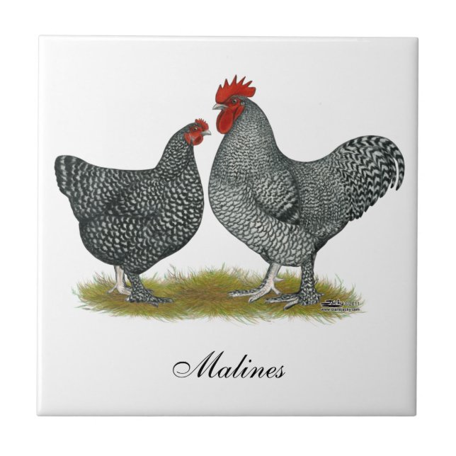 Maline Chickens Tile (Front)