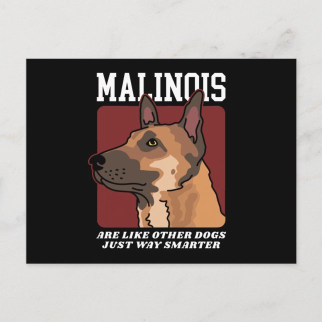 Malinois Are Smarter Belgian Malinois Postcard (Front)
