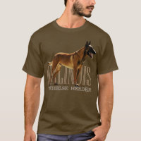 Malinois Belgian shepherd Mechelaar (5)