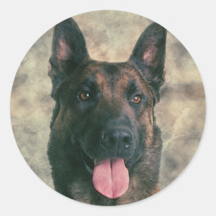 Malinois - Belgian shepherd -Mechelaar -Maligator Classic Round Sticker