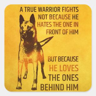 Malinois - Belgian shepherd -Mechelaar -Maligator Square Sticker