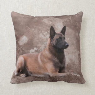 Malinois Belgian shepherd - Mechelaar Throw Pillow