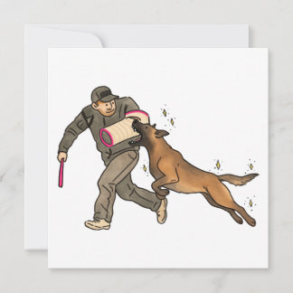 Malinois bite-work