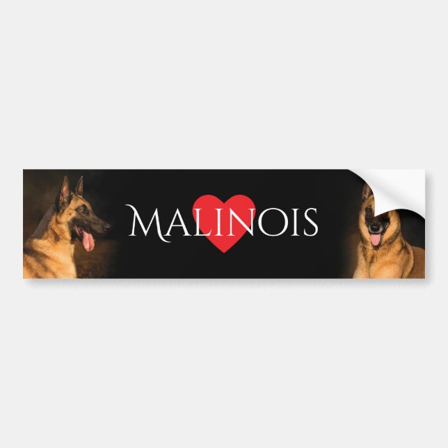 Malinois Bumper Sticker (Front)