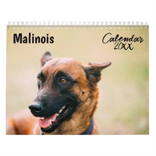 Malinois calendar 2026 (Cover)